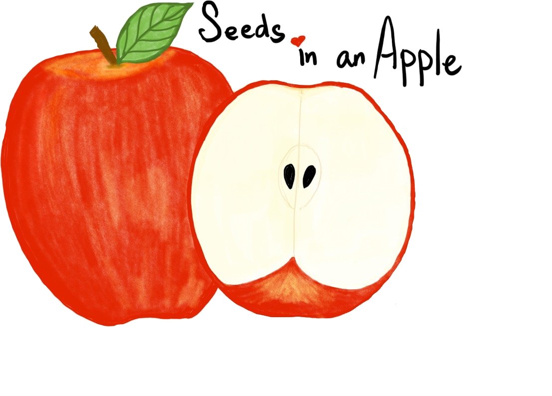 Seeds in an Apple